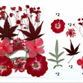 12 In 1 Pressed Flowers Fl025