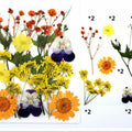12 In 1 Pressed Flowers Fl026