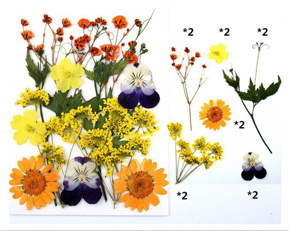 12 In 1 Pressed Flowers Fl026