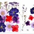12 In 1 Pressed Flowers Fl027