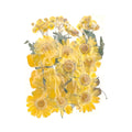 25 In 1 Pressed Flowers Fl028