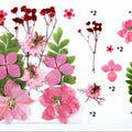 12 In 1 Pressed Flowers Fl029