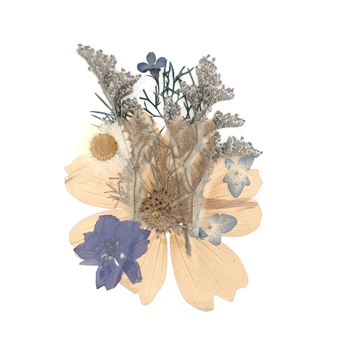 10 In 1 Pressed Flowers Fl031