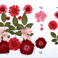 13 In 1 Pressed Flowers Fl032