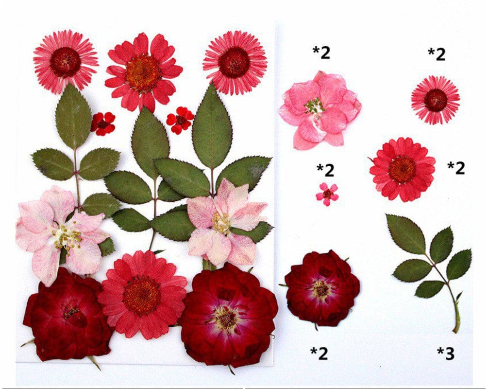 13 In 1 Pressed Flowers Fl032