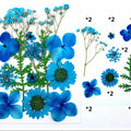 14 In 1 Pressed Flowers Fl033