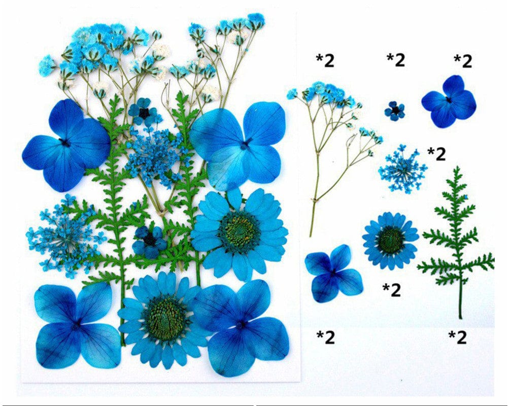 14 In 1 Pressed Flowers Fl033