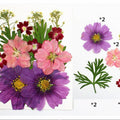 15 In 1 Pressed Flowers Fl034