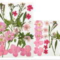 18 In 1 Pressed Flowers Fl042