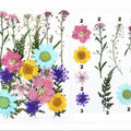 20 In 1 Pressed Flowers Fl043