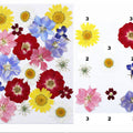 21 In 1 Pressed Flowers Fl045