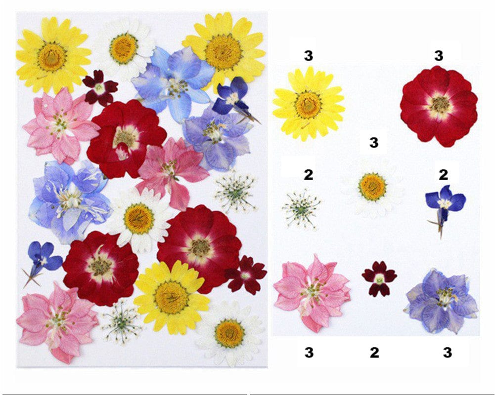 21 In 1 Pressed Flowers Fl045