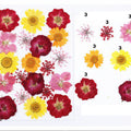 21 In 1 Pressed Flowers Fl046