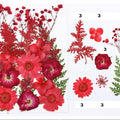 21 In 1 Pressed Flowers Fl047