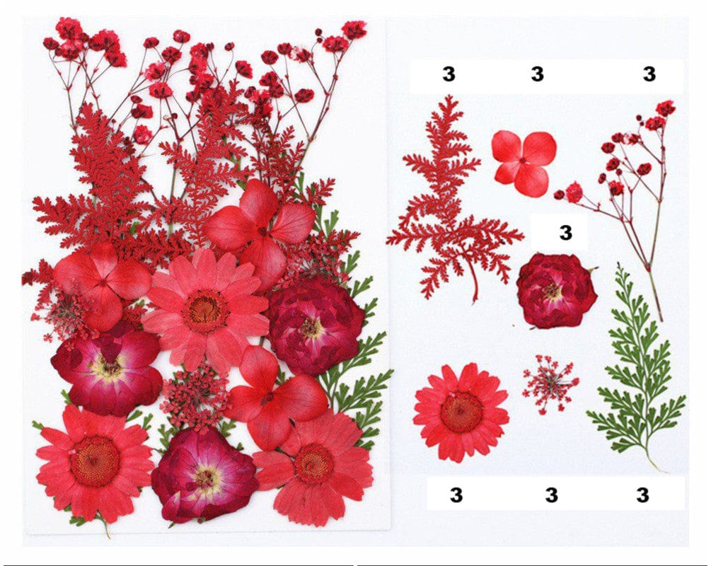 21 In 1 Pressed Flowers Fl047