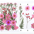 21 In 1 Pressed Flowers Fl049