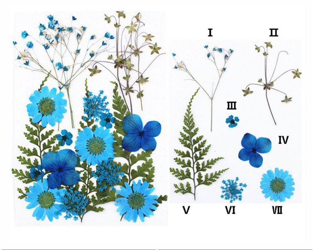 21 In 1 Pressed Flowers Fl050