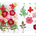 23 In 1 Pressed Flowers Fl057