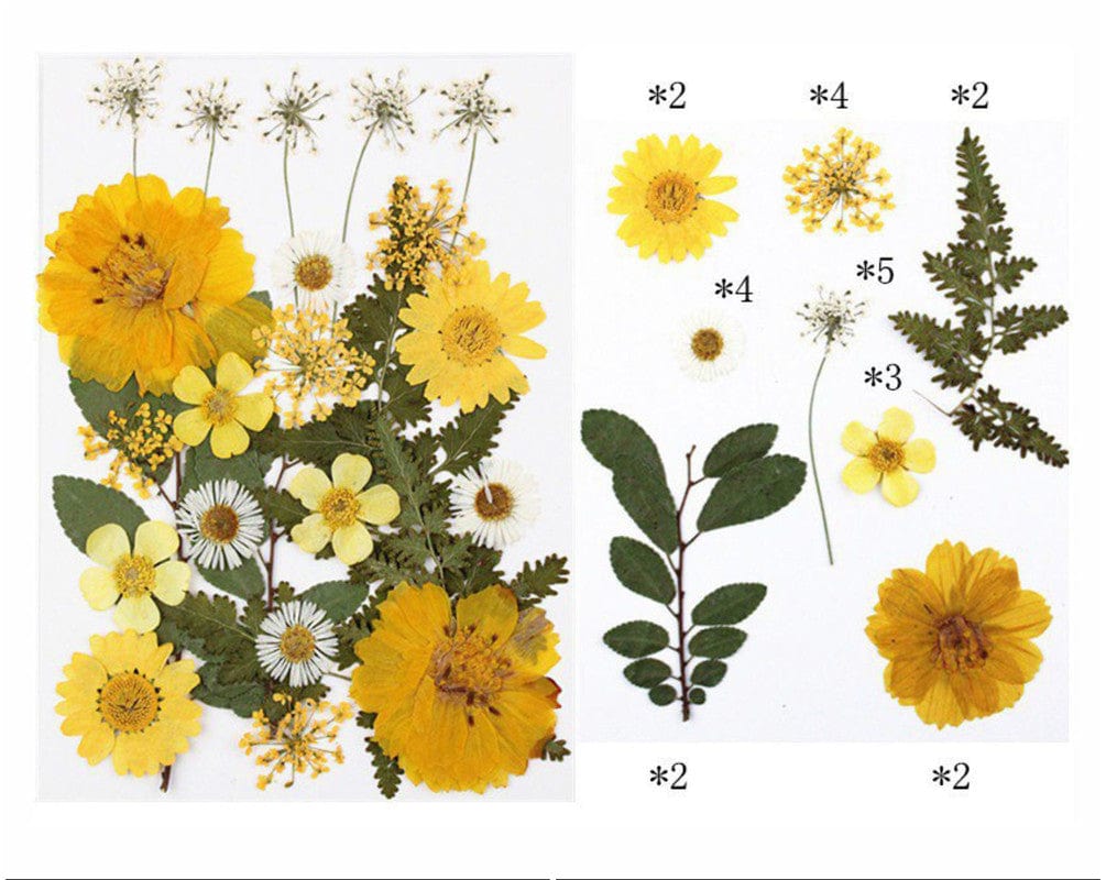 24 In 1 Pressed Flowers Fl064