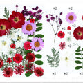 25 In 1 Pressed Flowers Fl065