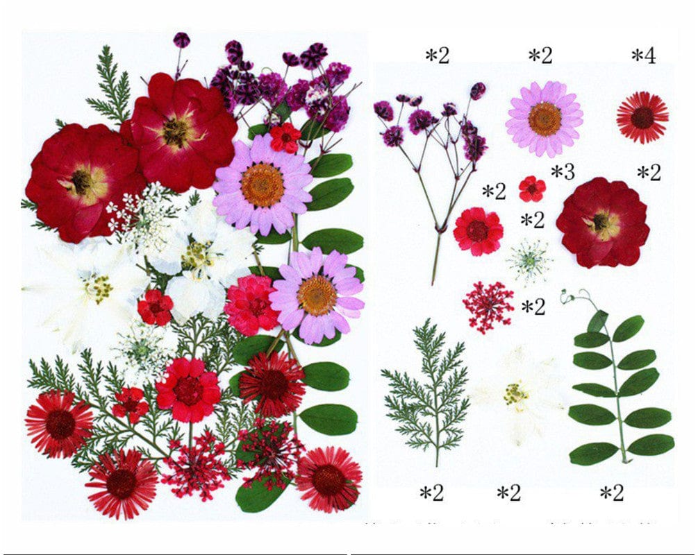 25 In 1 Pressed Flowers Fl065