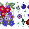25 In 1  Pressed Flower