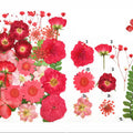 29 In 1 Pressed Flowers Fl091