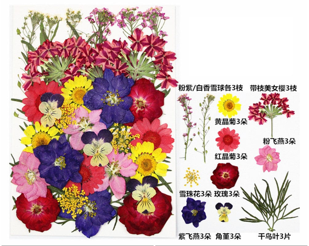 30 In 1 Pressed Flowers Fl096