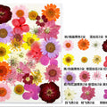 33 In 1 Pressed Flowers Fl098