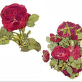 12 In 1 Pressed Flower Fl1001