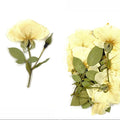 13 In 1 Pressed Flower Fl1002