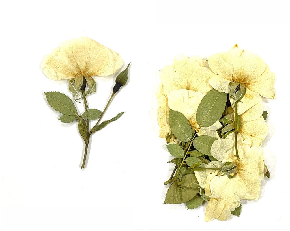 13 In 1 Pressed Flower Fl1002