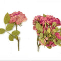 14 In 1 Pressed Flower Fl1003