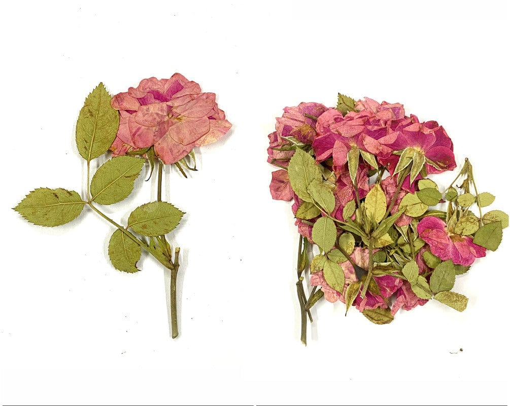 14 In 1 Pressed Flower Fl1003
