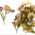 15 In 1 Pressed Flower Fl1004