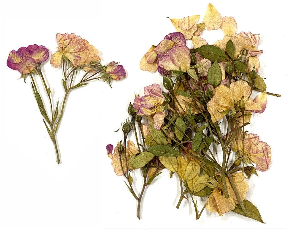 15 In 1 Pressed Flower Fl1004