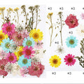 32 In 1 Pressed Flowers Fl103