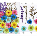 32 In 1 Pressed Flowers Fl106