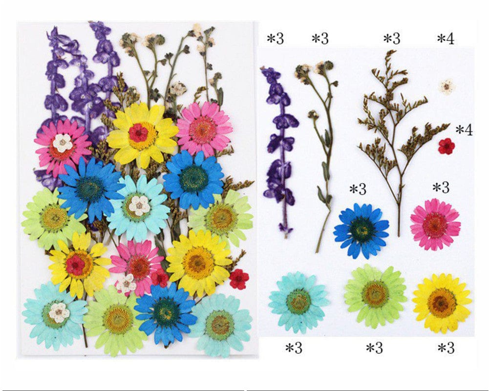 32 In 1 Pressed Flowers Fl106