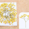 Yellow Baby Breath Pressed Flower Fl1109