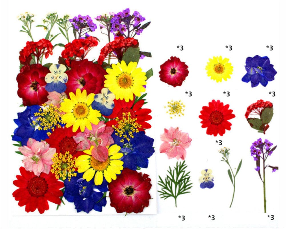 33 In 1 Pressed Flowers Fl120