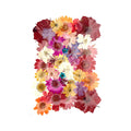 40 In 1 Pressed Flowers Fl149