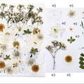 40 In 1 Pressed Flowers Fl150