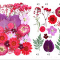 32 In 1 Pressed Flowers Fl157