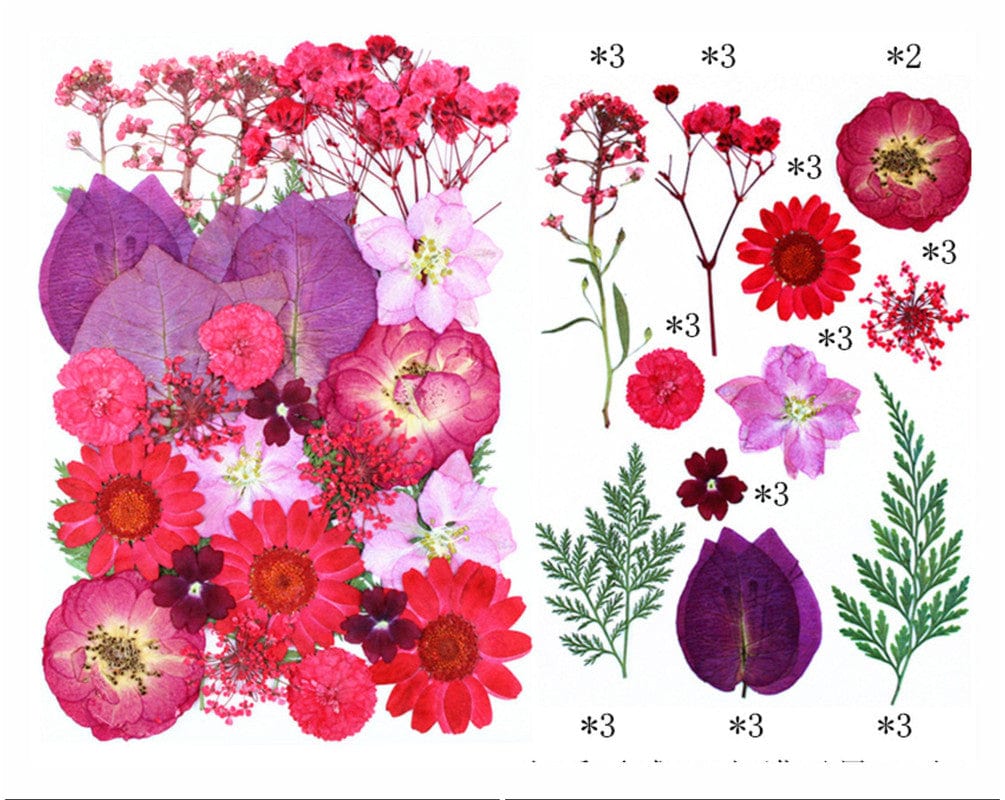 32 In 1 Pressed Flowers Fl157