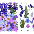 32 In 1 Pressed Flowers Fl158