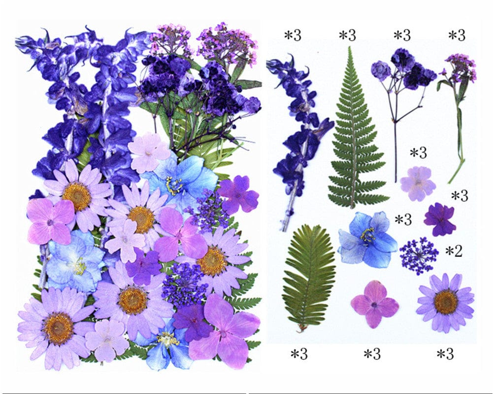 32 In 1 Pressed Flowers Fl158