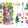 34 In 1 Pressed Flowers Fl159