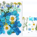40 In 1 Pressed Flowers Fl167