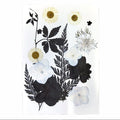 18 In 1 Pressed Flowers Fl169